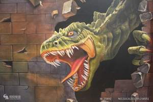 郑州3D魔幻艺术巡展